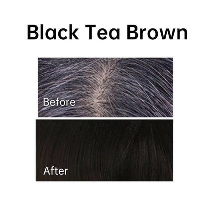 Colorful Plant Hair Dye with Comb Applicator